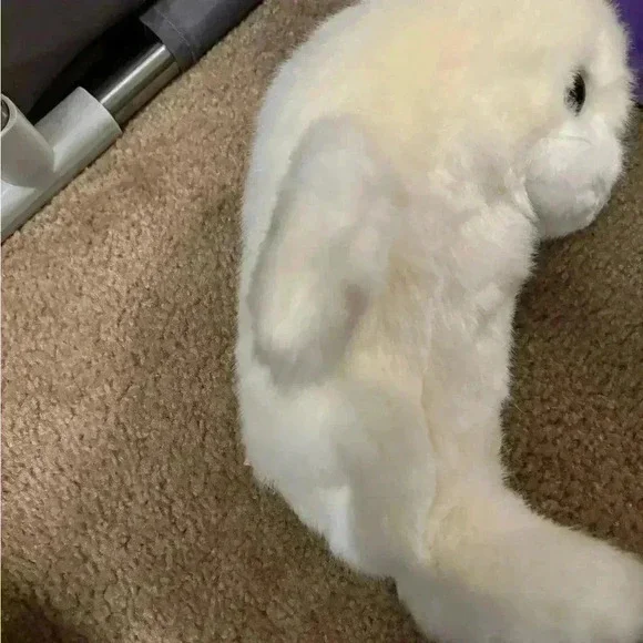 Lot Of 2 Large Beanie Babies- Snap And Misty 1996 - Picture 5 of 10